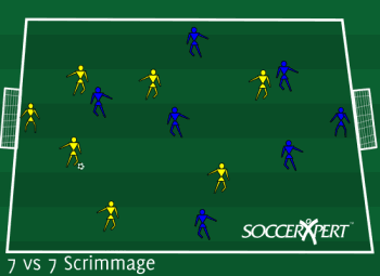 A 60-by-40 field with a full-size goal on each end line, six field players per team, and a keeper in each goal.