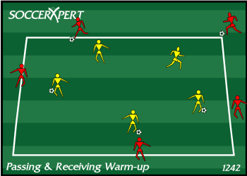 A 20-by-20 square with one team spaced around the outside, a ball each, and the working team inside.