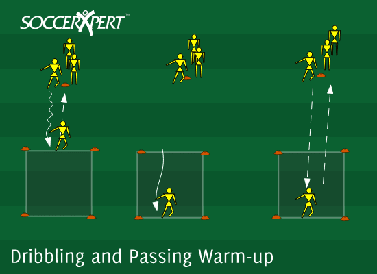 An 8-by-8 grid 8 yards off the sideline with a starting cone on the sideline at its center and a short line of players — one grid per group.