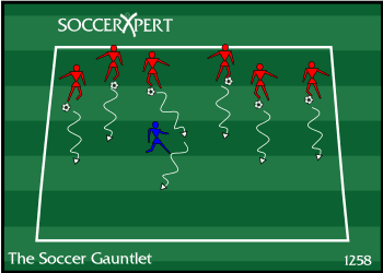 A 20-by-15 grid with one ball-less defender inside and the rest of the team along the end line, a ball at every foot.