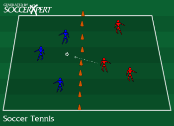 A 12-by-24 court split into two squares, three players on each side, the server behind one back line with the ball.