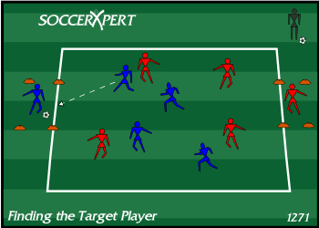 A 40-by-40 grid holding two teams, with a small 10-by-10 box on each attacking end and a lone target player waiting inside each box.