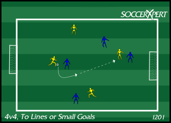A long, narrow grid — about 40 by 25 — with a small gate on each end line and a team of four between them.