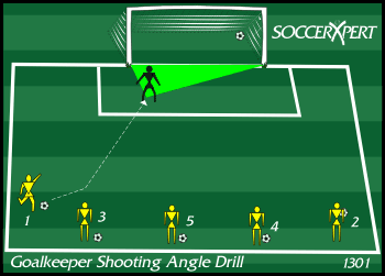 A keeper in a full-size goal with six to eight servers fanned across the outer edge of the penalty area, a ball at every server's feet.