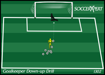 A keeper seated in the center of the goal a few yards off the line, the server 8 to 10 yards out with a pile of balls.