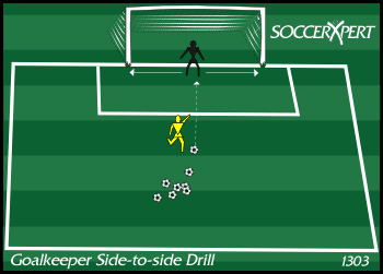 A keeper on the goal line between the posts, the server about 8 yards out with a supply of balls.