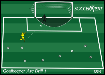 A marked arc a few yards in front of a full-size goal, a dozen balls scattered through the penalty area, the keeper in goal.