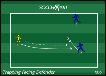 A 20-by-30 area with the server and ball on one side and two attackers facing them from the opposite side.
