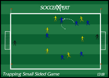 A 40-by-60 grid with a goal and keeper at each end, two teams of six spread through it, one player holding the ball.