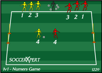 A 15-by-20 field with small goals on the end lines, two numbered teams waiting off the field, and the coach with the ball supply.
