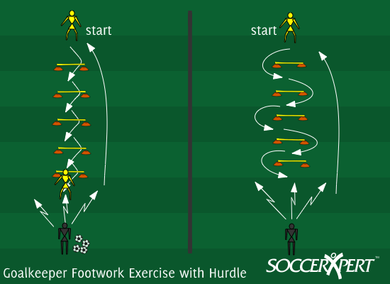 A straight line of 5–6 small hurdles a yard apart, the keeper at one end, the coach 5 yards past the other with a pile of balls.