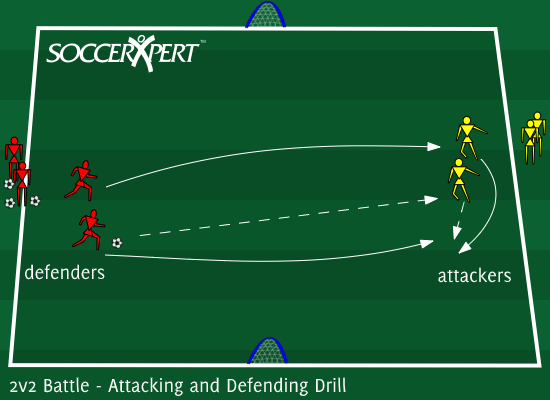 A wide field with a small goal on each end line, one line of players on each sideline, balls with the defenders' line.