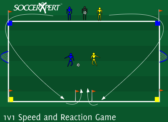 A small grid with a goal on each end, two lines beside the coach on one sideline, a gate on the far sideline, and the blue and yellow sides marked.