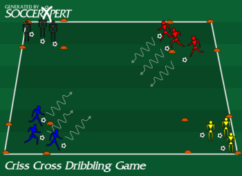 A 30-by-30 grid with a 7-by-7 box in each corner and a color team with balls in every box.