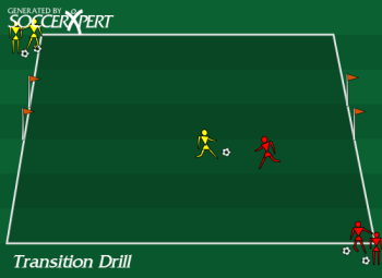 A 15-by-20 grid with a small goal on each end line and the two team lines at diagonal corners, every player with a ball.