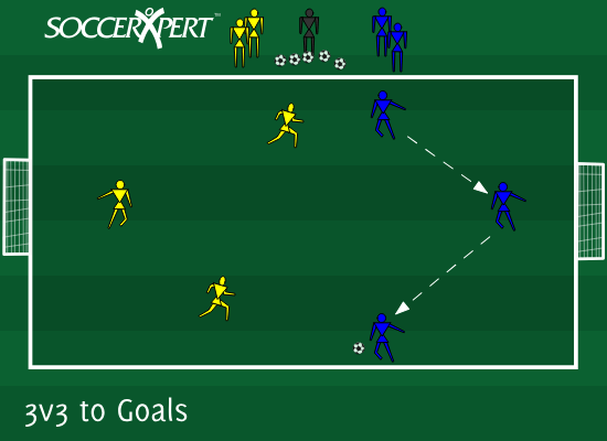 A 20-by-30 field with a goal on each end line, three players per team on it, and the substitutes waiting beside the coach and the balls.