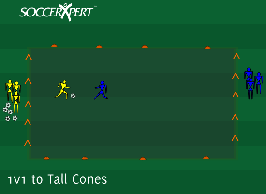 A 20-by-30 field with a row of tall cones standing on each endline, the teams waiting behind their own cones, and balls stacked at the attacking end.