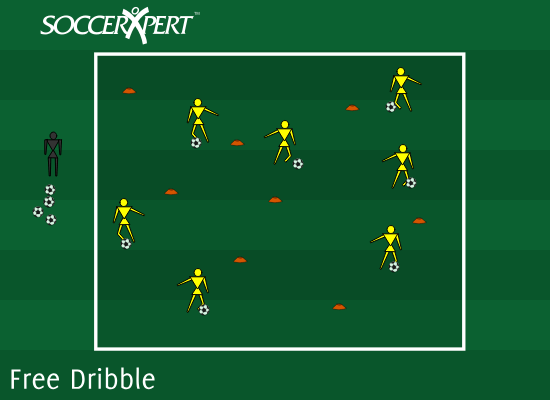 A 20-by-20 grid strewn with random cones and the whole team inside it, one ball each.