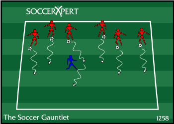 A 20-by-15 grid with one ball-less defender inside and the rest of the team along the end line, a ball at every foot.