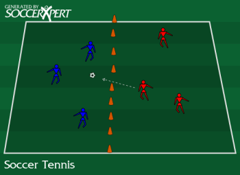 A 12-by-24 court split into two squares, three players on each side, the server behind one back line with the ball.