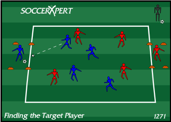 A 40-by-40 grid holding two teams, with a small 10-by-10 box on each attacking end and a lone target player waiting inside each box.