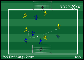 A 30-by-40 grid with a goal on each goal line and two teams of five between them, keepers in.